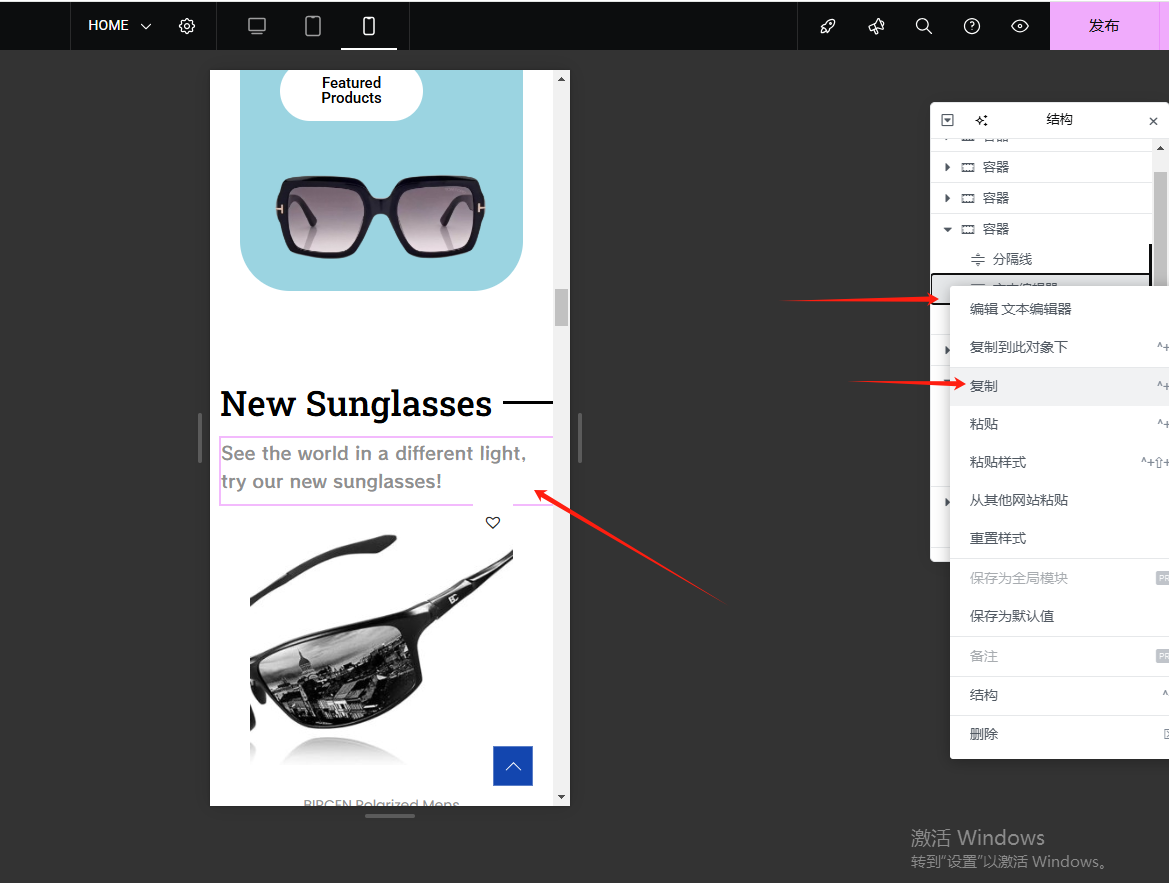 Wordpress页面装修设置