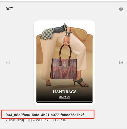 2.10 shopify SEO优化