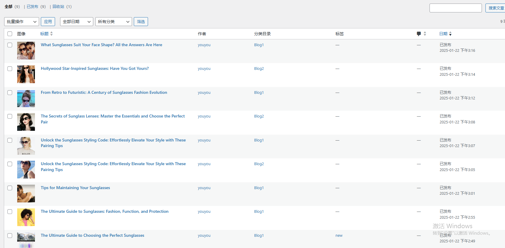 WordPress博客界面设置