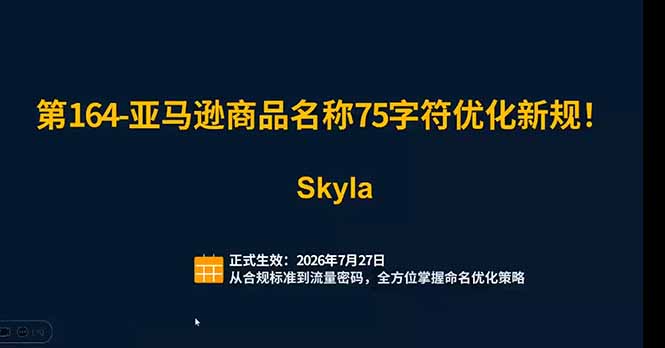 亚马逊跨境实战课:全品类选品逻辑|SP/SB/SD广告精细化|新品打爆旺季爆单全套运营教程 - 图片