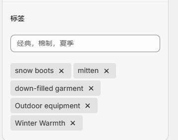 2.10 shopify SEO优化