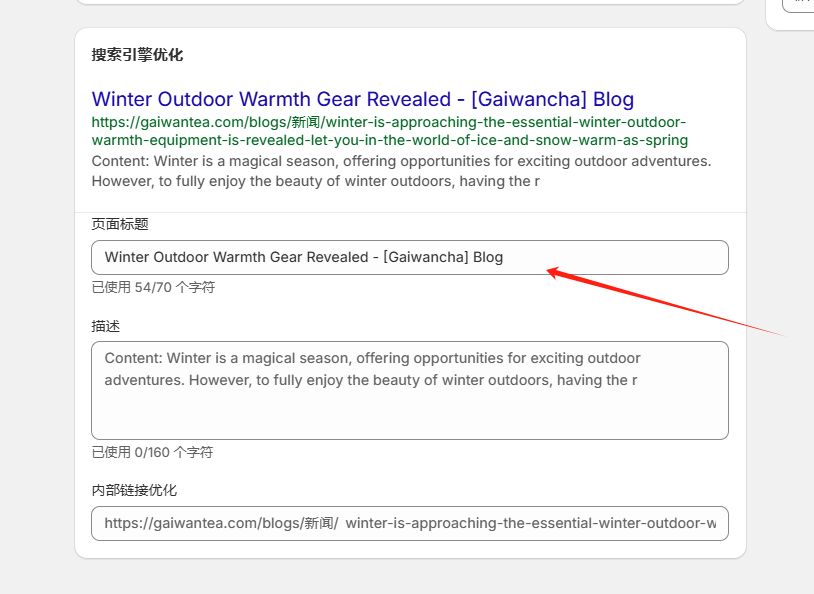 2.10 shopify SEO优化