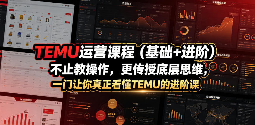 TEMU运营进阶课:0基础到高手,底层思维+AI提效实战-趣咪跨境